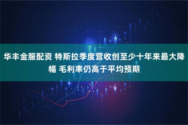 华丰金服配资 特斯拉季度营收创至少十年来最大降幅 毛利率仍高于平均预期