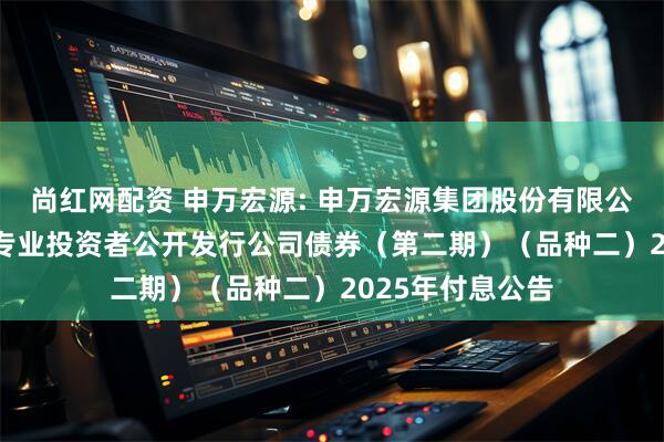 尚红网配资 申万宏源: 申万宏源集团股份有限公司2023年面向专业投资者公开发行公司债券（第二期）（品种二）2025年付息公告